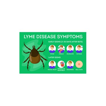 Maladie de Lyme